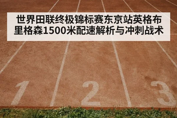 Tokyo athletics stadium track